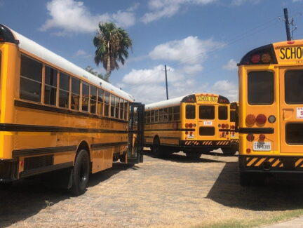 bus, school, school bus